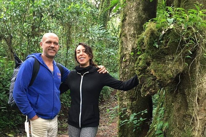 Kilimanjaro Day Hike - Private tour comfort: your pace, your group