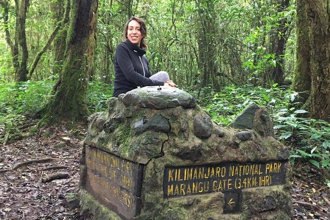 Kilimanjaro Day Hike - Rainforest walking: where the guide adds real value
