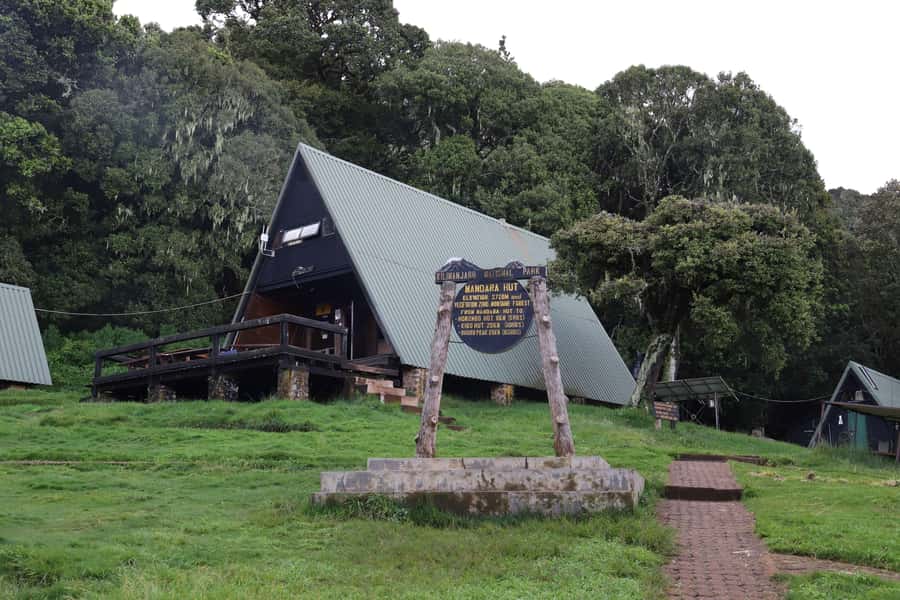 Kilimanjaro: Day trip -hike to Mandara Hut Kilimanjaro 2700m - Key points to know before you go