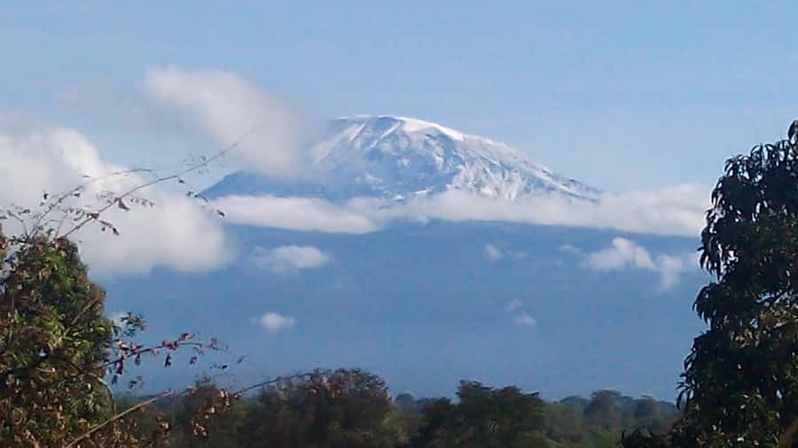 Kilimanjaro: Day trip -hike to Mandara Hut Kilimanjaro 2700m - From Moshi pickups to Marangu Gate, the day starts easy