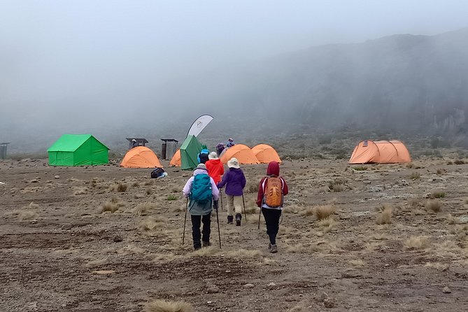Kilimanjaro Experience 7 Days Lemosho route - Why the 7-day Lemosho plan works on Kilimanjaro