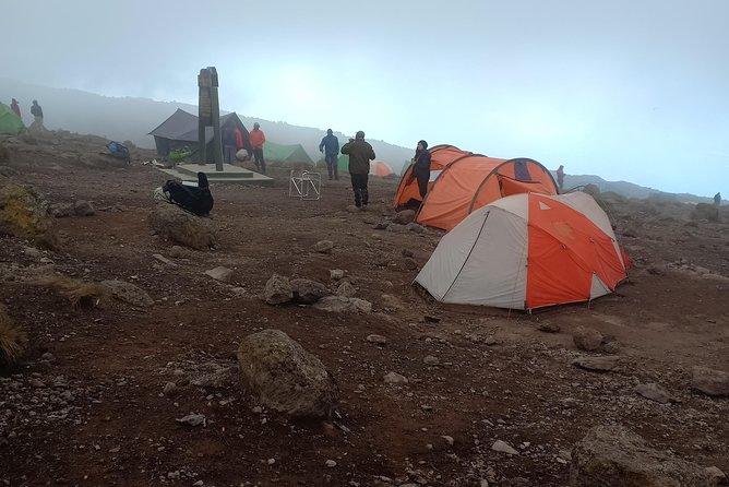 Kilimanjaro Experience 7 Days Lemosho route - Day 7 descent: Mweka Park Gate certificates, muddy trails, and the Moshi reset