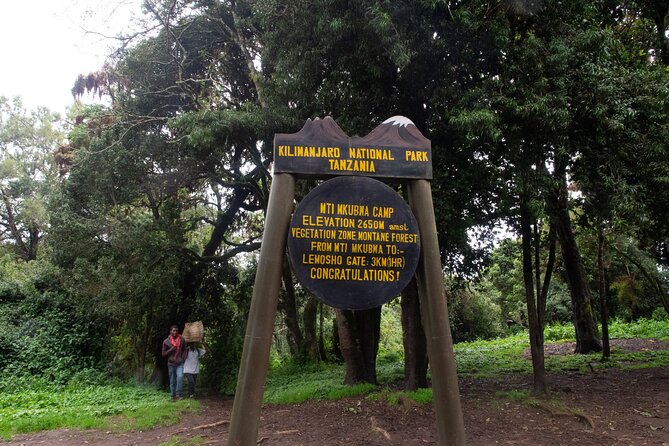 Kilimanjaro Lemosho Route 7 Days - Day 4: Lava Tower lunch, optional rock scramble, and Barranco descent