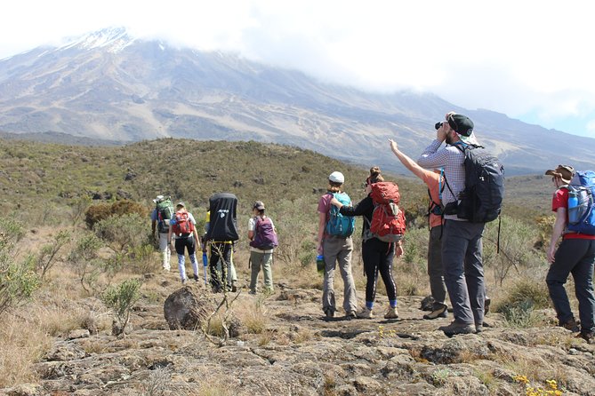 Kilimanjaro Lemosho Route 7 Days - Your Team and the Safety Gear You Actually Want at Altitude