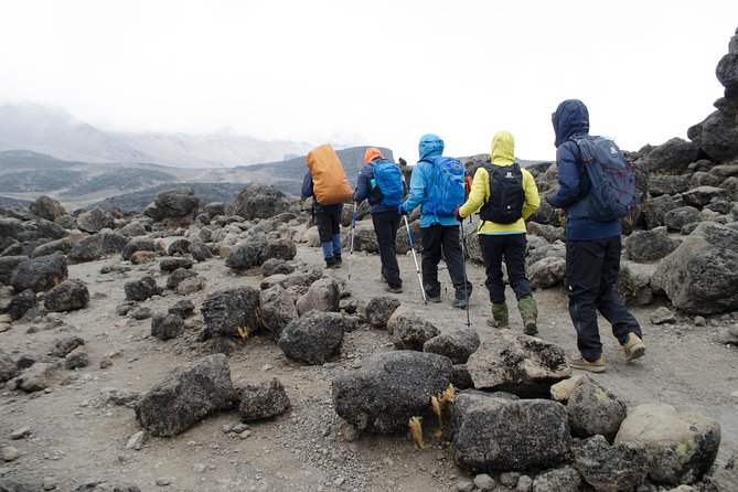 Kilimanjaro Lemosho Route 8 Days - Day 5: The Great Barranco Wall, Glacier Views If Clouds Behave