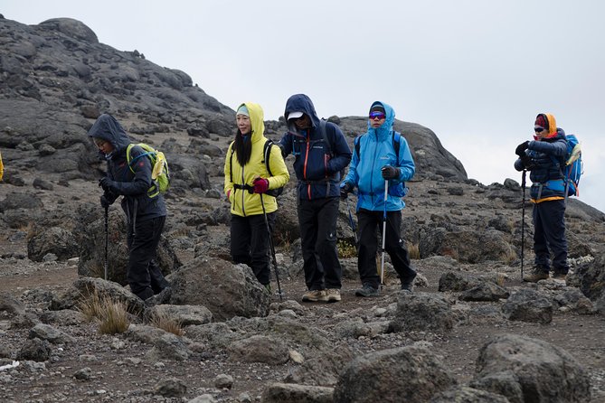 Kilimanjaro Lemosho Route 8 Days - Day 7: The Mweka Rain Forest Descent, Slippery Steps and Your Finish