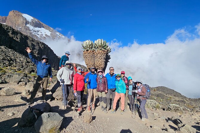 Kilimanjaro Lemosho Route 8 Days - Price and What $3,000 Covers, Where the Value Comes From