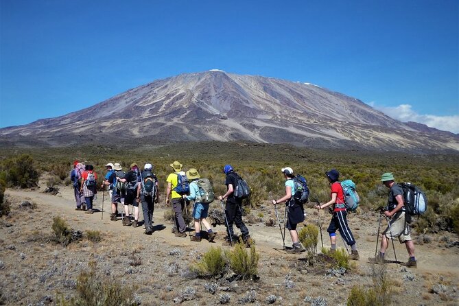 Kilimanjaro-lemosho Route 8 Days Itinerary - Day 3 to Shira Camp: the full day that earns your Shira Plateau views