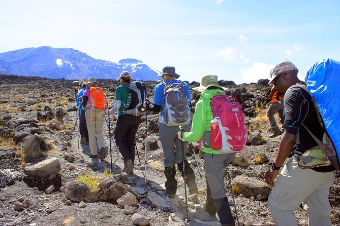Kilimanjaro-lemosho Route 8 Days Itinerary - Day 6 to Karanga Camp: the Heim Glacier zone and the alpine desert transition