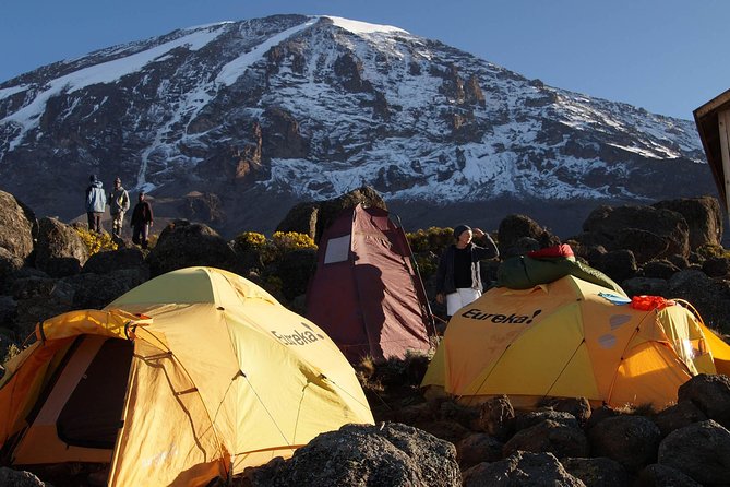 Kilimanjaro-lemosho Route 8 Days Itinerary - Day 1 prep: briefing, gear check, and insurance reality