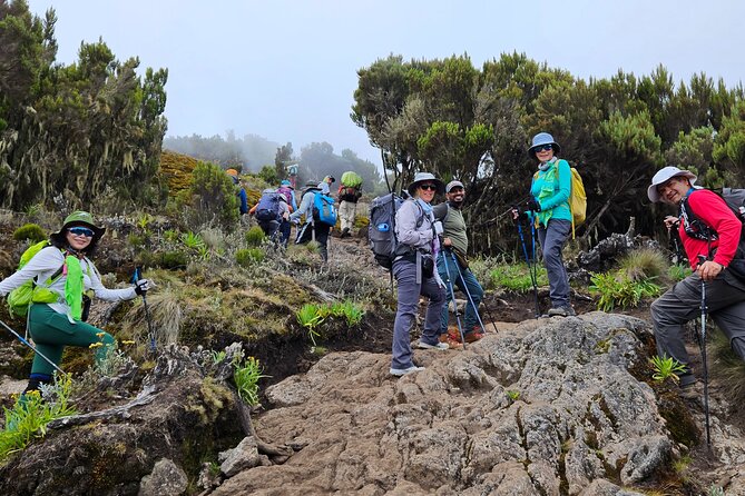 Kilimanjaro Lemosho Route 8 Days - Why the Lemosho route is a smart pick for a daylight summit plan