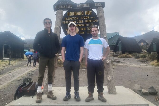 Kilimanjaro Lemosho Route - Day 2: Shira Views, Moorlands, and the Climb to Shira Camp 2