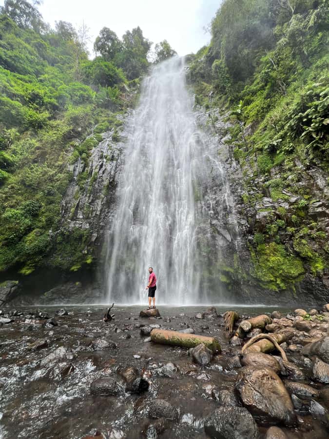 Kilimanjaro: Maasai Village Visit, Waterfalls, & Coffee Tour - Key things to know before you go