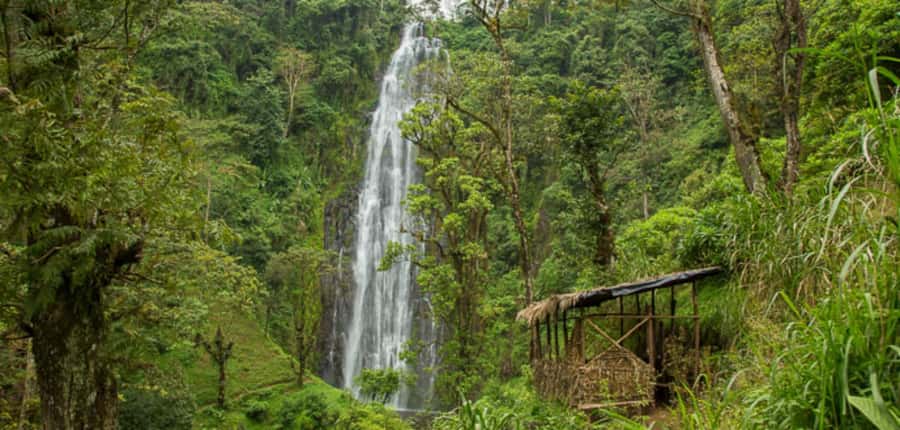 Kilimanjaro: Maasai Village Visit, Waterfalls, & Coffee Tour - Maasai Village Near Kilimanjaro Airport: Dances, Homes, and Cattle Walks