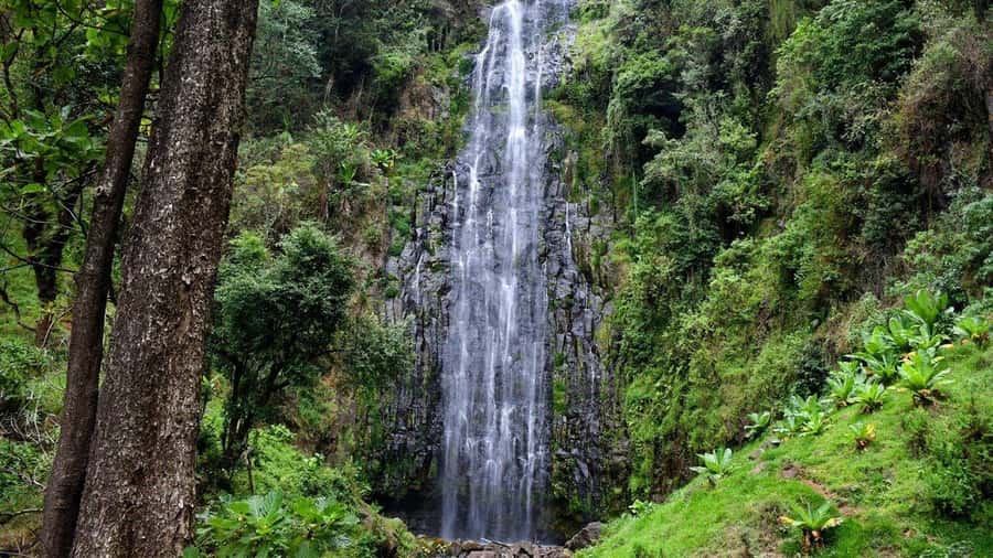 Kilimanjaro: Maasai Village Visit, Waterfalls, & Coffee Tour - Best For Who: The Travelers Who Will Enjoy This Most