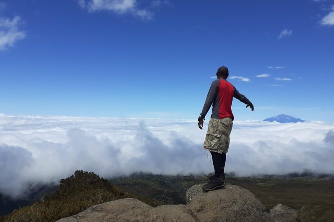 KILIMANJARO MACHAME ROUTE, (Climb 7days) "Whiskey" route - Day 7, Mweka Gate descent, summit certificates, and return to Moshi or Arusha