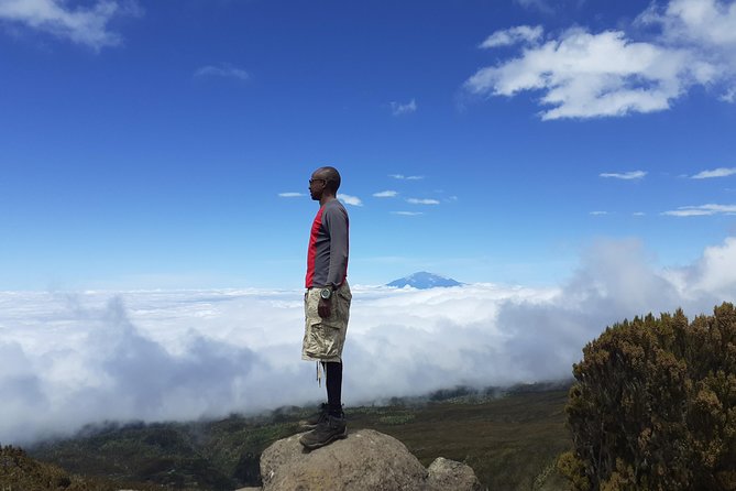 KILIMANJARO MACHAME ROUTE, (Climb 7days) - Arusha logistics: pickup at 8am, permits, then a drive to the start