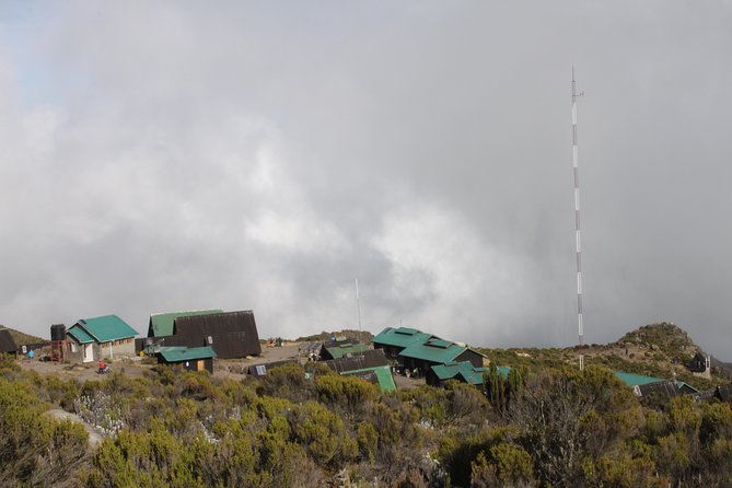 Kilimanjaro Marangu Route 6 Days - Day 2: Steeper Forest, Moorland Views, Horombo Hut at 3,720 m