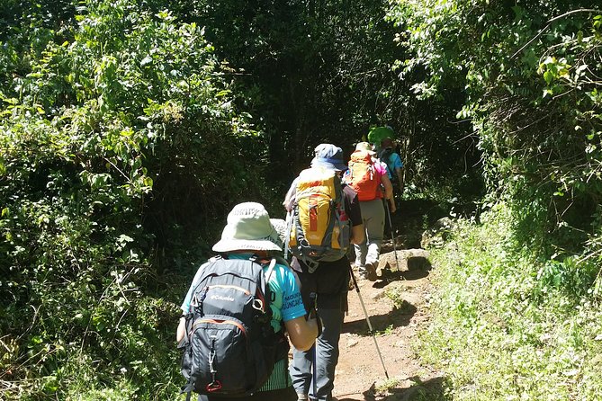 Kilimanjaro Marangu Route Day Tour - Why the Marangu Route fits when you have limited time