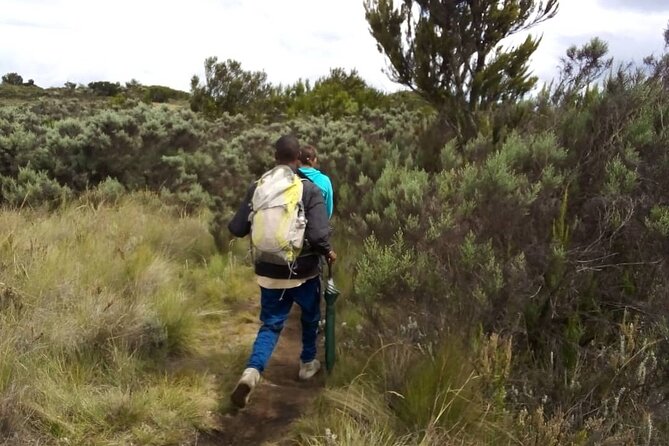 Kilimanjaro National Park Day Trip - Lunch at Mandara, then the descent back down