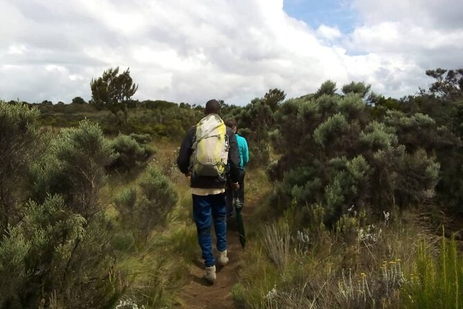 Kilimanjaro National Park Day Trip - Who this Kilimanjaro day trip suits best