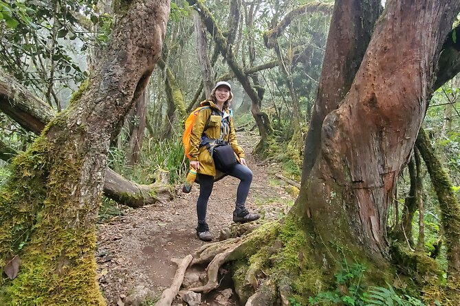 Kilimanjaro Northern Circuit Route 8 Days - Key Highlights You’ll Feel on the Mountain