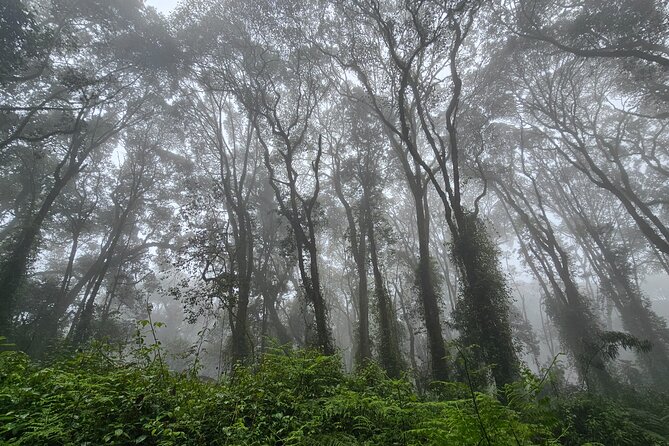 Kilimanjaro Northern Circuit Route 8 Days - Northern Circuit Route: More Days, Quieter Trails, Better Altitude Chances