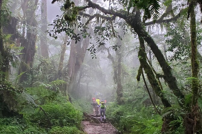 Kilimanjaro Northern Circuit Route 8 Days - What You’re Paying For: $3,000 Value Beyond the Summit Promise