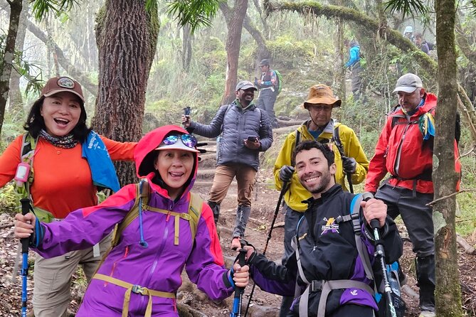 Kilimanjaro Northern Circuit Route 8 Days - Day 2 and Day 3: Pole Pole Through Moorland to Shark’s Tooth