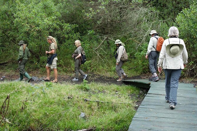 Kilimanjaro Private 2 Days Hiking Tour - Why this short Kilimanjaro hike works on limited time
