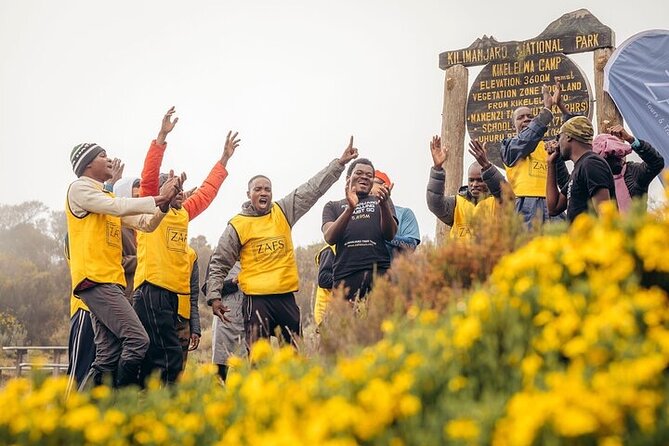 Kilimanjaro Private Climbing in 6 Days Marangu Route - Up into heathland and moorlands, with the first big Mawenzi view