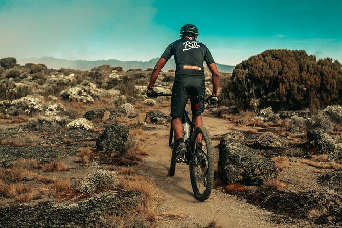 Kilimanjaro Shira Plateau E-Bike Day Trip - The rainforest segment: wildlife, birds, and the work of pedaling