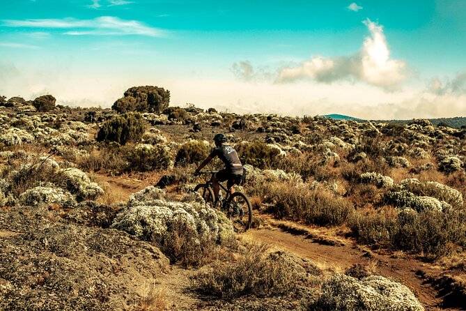 Kilimanjaro Shira Plateau E-Bike Day Trip - The ride team: Roger’s calm style and Hillary’s smooth handling