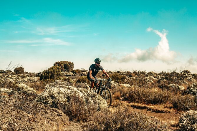 Kilimanjaro Shira Plateau E-Bike Day Trip - E-bikes on steep roads: how to think about effort