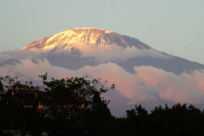 Kilimanjaro Shira Plateau E-Bike Day Trip - Lunch, timing, and what to expect from a 6 to 8 hour day