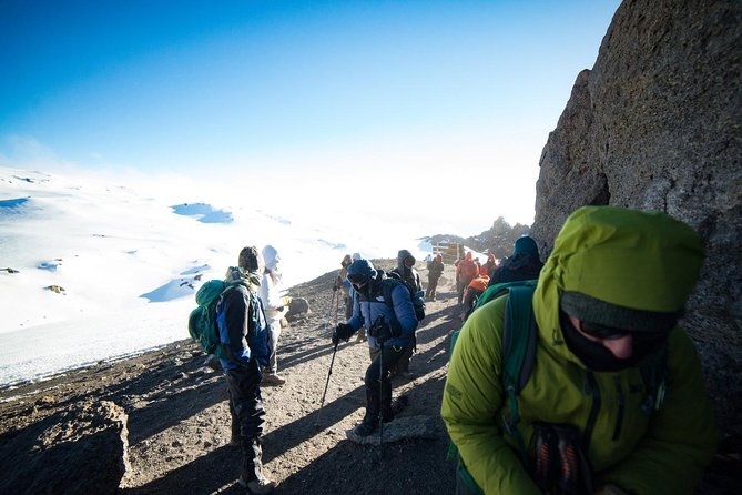 Kilimanjaro Summit Challenge: 6 Days via Marangu Route - Day 2 to Horombo: the last rainforest to moorlands, and big views of Kibo and Mawenzi