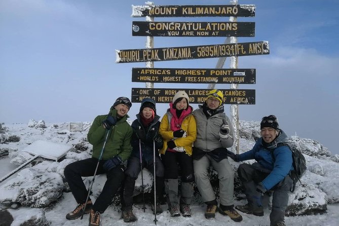 Kilimanjaro Trek 6 Days Marangu Route - Day 5: descent to Marangu Gate, the certificate moment, and back to Moshi comfort