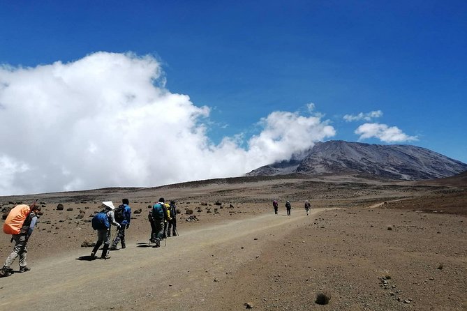 Kilimanjaro Trek 6 Days Marangu Route - Day 2: Mandara to Horombo, moorland air, and the Maundi Crater detour