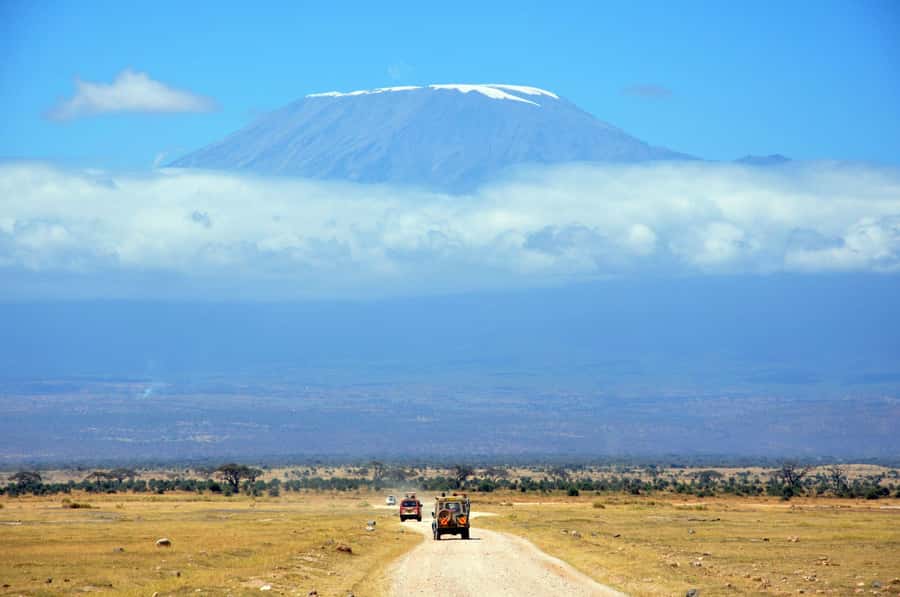 Kilimanjaro: Village Walk, Coffee Tour, Waterfall, and Lunch - Coffee ceremony: grinding, roasting, and making your own cup