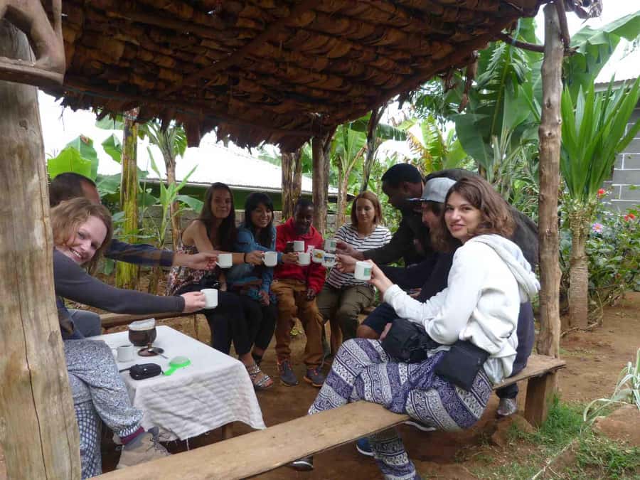 Kilimanjaro: Village Walk, Coffee Tour, Waterfall, and Lunch - Who this Materuni tour suits best