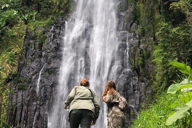 Kilimanjaro Waterfalls Hike & Moshi Hot Springs Day Trip Tour - Key highlights to look for