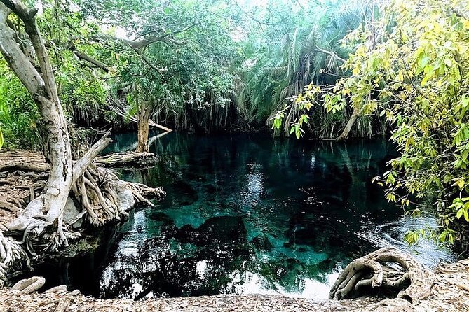 Kilimanjaro Waterfalls Hike & Moshi Hot Springs Day Trip Tour - Chemka Hot Springs Swim: Recovery Time You Can Actually Feel