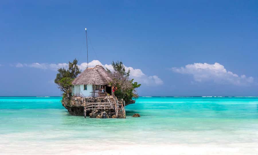 Kiwengwa/Zanzibar: Mnemba, Kuza Cave & Jozani Forest Tour - Key reasons this tour works