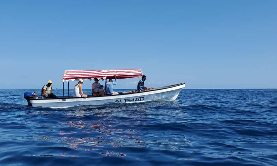 Kiwengwa/Zanzibar: Mnemba, Kuza Cave & Jozani Forest Tour - Who this tour suits best