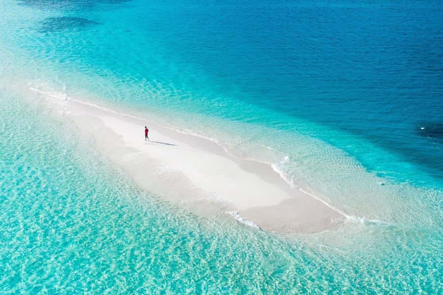 Kiwengwa/Zanzibar: Mnemba, Kuza Cave & Jozani Forest Tour - Should you book the Mnemba, Kuza Cave, and Jozani Forest tour?