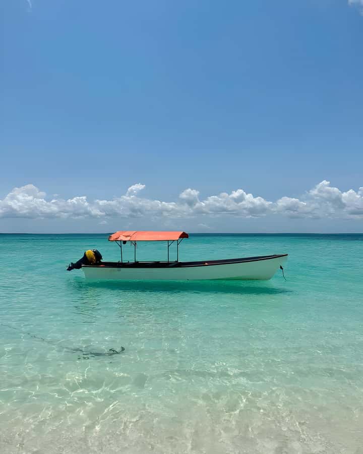 Kizimkazi: Pungume Island Snorkeling & Sandbank Tour - Getting Back To Fumba, Then Home To Your Hotel