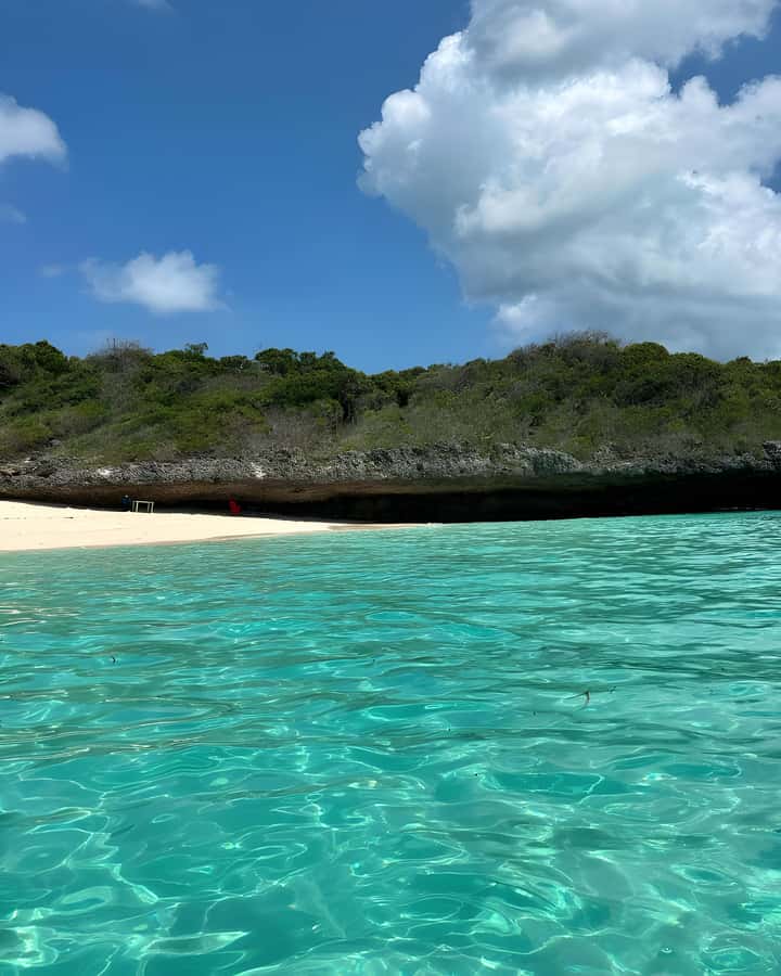 Kizimkazi: Pungume Island Snorkeling & Sandbank Tour - Who Should Book, And Who Should Skip This One