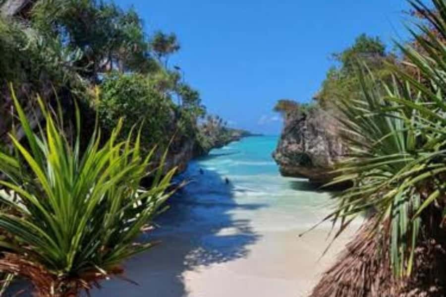 Kuza Cave, Hidden Mtende Beach & The Rock Restaurant - Kuza Cave gardens first: where the pace slows down