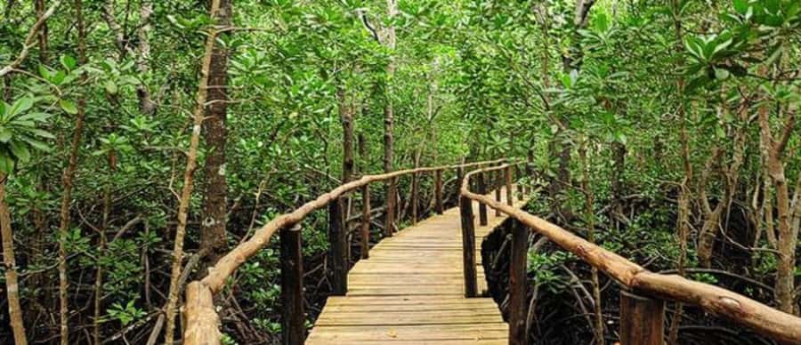 Kuza Cave, Hidden Mtende Beach & The Rock Restaurant - Should you book this tour, or skip it?