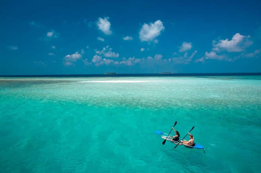 Kuza Cave, Rock Restaurant, Jozani Forest, Clear Kayaking - Pickup timing, luggage rules, and how to keep the day smooth